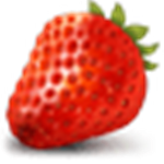 草莓文件加密器电脑版下载