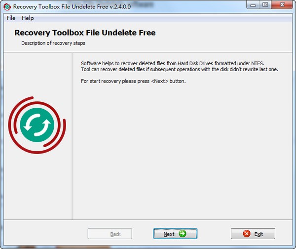 Recovery Toolbox File Undelete Free下载预览图