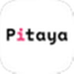 Pitaya火龙果智能写作软件v0.1.11桌面版