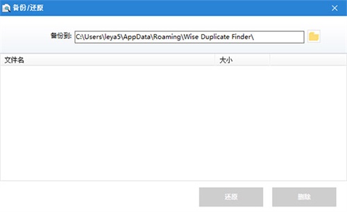 Wise Duplicate Finder Pro使用教程5