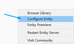 Emby Server稳定版搭建方法1