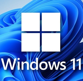 Windows11系统不忘初心版 (22000.348)下载安装