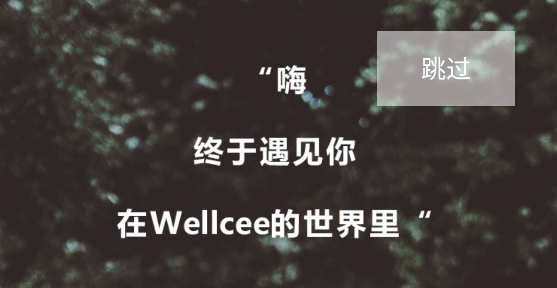 Wellc图2